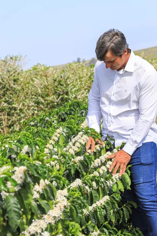 O produtor Gustavo Facanali celebra os bons resultados na lavoura do café após a polinização assistida e pensa em expandir o uso de colmeias em outras áreas da propriedade