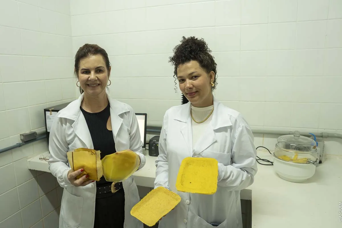 A pesquisadora Carmen Guedes (à dir.) com a professora Mônica Scapim: "Infelizmente, hoje ela é aproveitada apenas para produção de biodiesel e é um fruto muito nobre para ser designada apenas para esse fim”