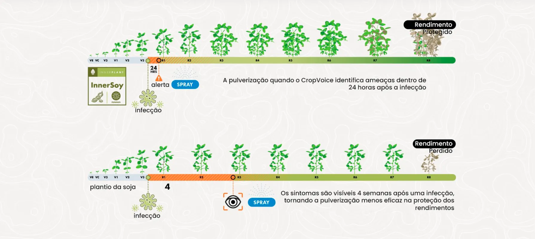 Imagem ilustrativa da imagem Plantas falam e agora podemos ouvi-las!