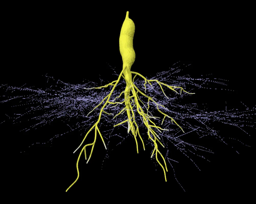 Imagem ilustrativa da imagem Plantas falam e agora podemos ouvi-las!