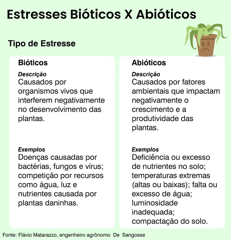 Imagem ilustrativa da imagem Plantas falam e agora podemos ouvi-las!