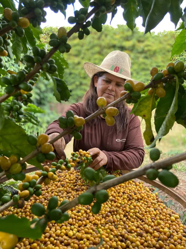 Maristela da Silva Souza: “Hoje já sou uma mulher conhecida mundialmente por produzir um dos melhores cafés especiais do Paraná”