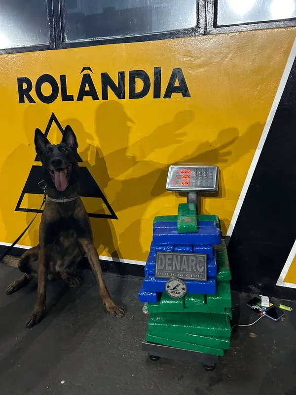 Passageiro de ônibus receberia R$ 3 mil para transportar droga até Londrina