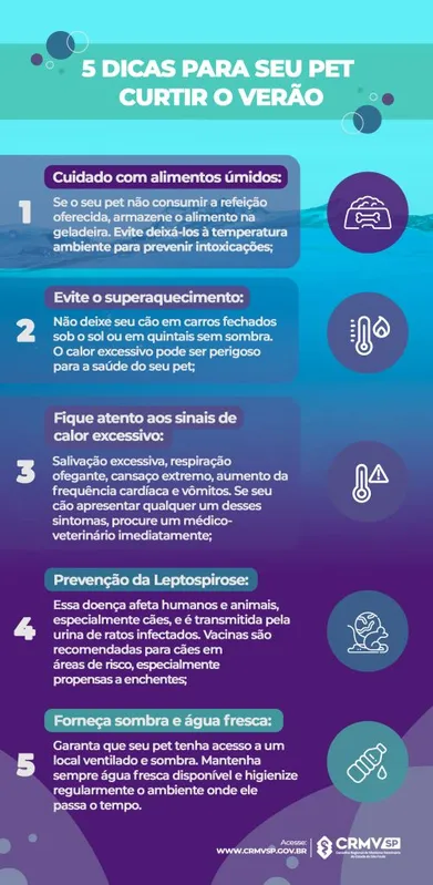 Imagem ilustrativa da imagem Veterinárias dão dicas para manter o pet saudável durante o verão