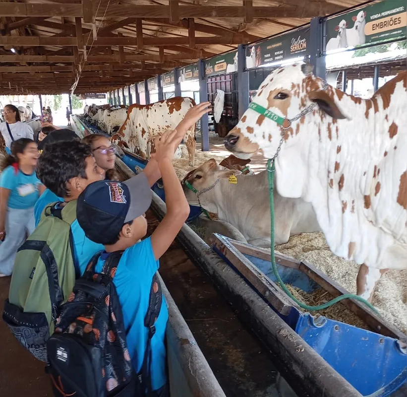 Ver os animais de perto faz parte da integração dos alunos com o trabalho da zona rural