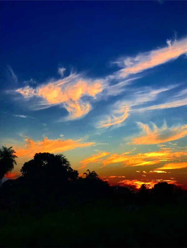 Imagem ilustrativa da imagem As cores do céu de Londrina