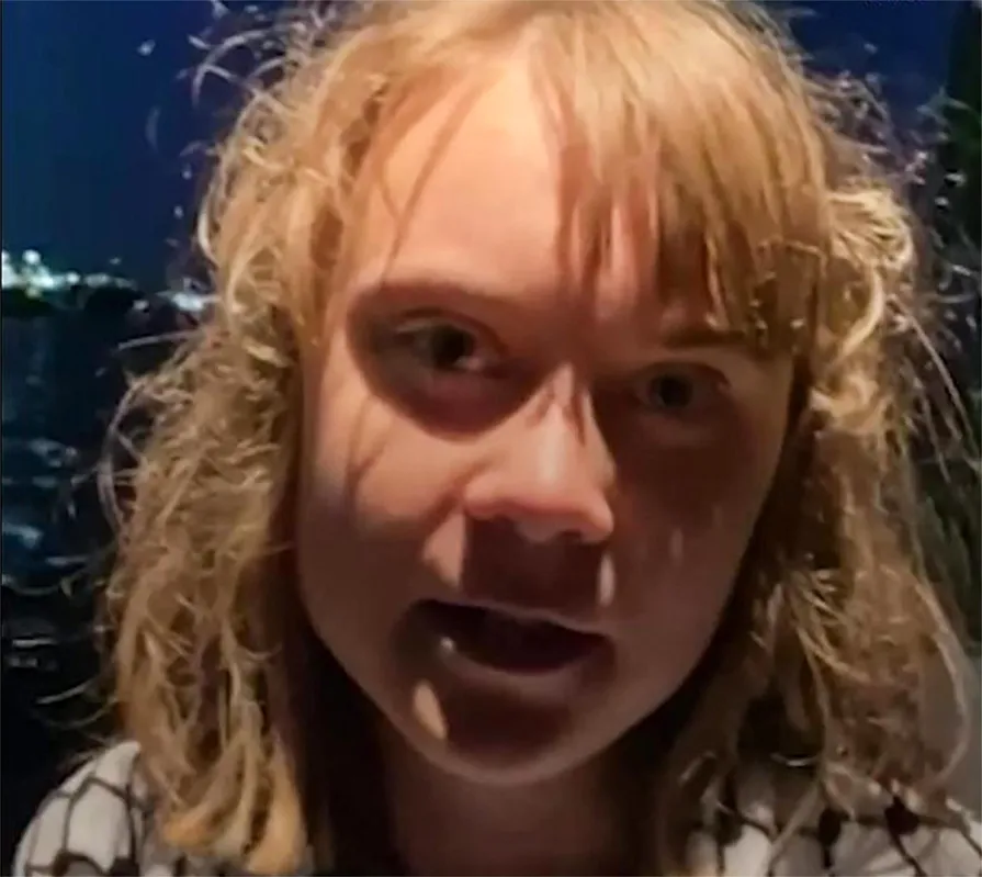 A ativista do clima, Greta Thunberg anunciou na madrugada de segunda-feira que o barco foi interceptado por soldados israelenses