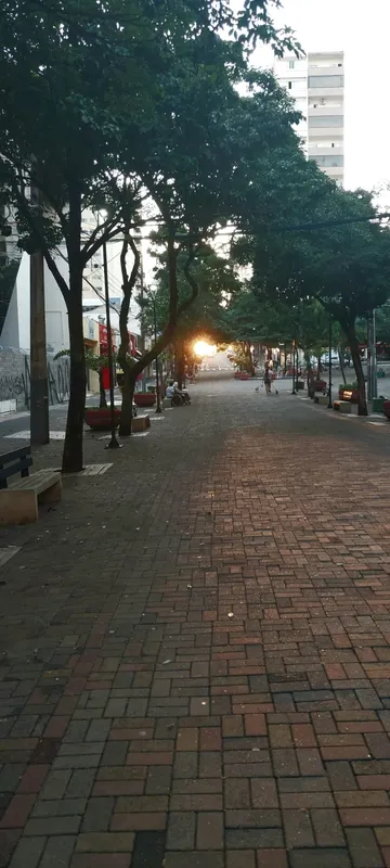 Imagem ilustrativa da imagem CIDADE FALA
