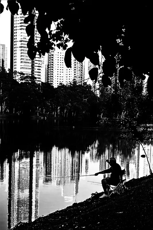 Imagem ilustrativa da imagem CIDADE FALA