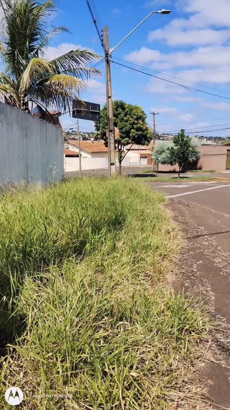 Imagem ilustrativa da imagem Cidade Fala: Matagal