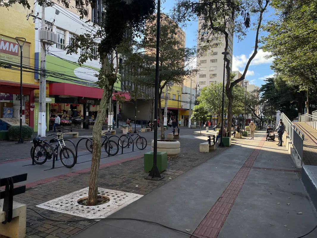 Imagem ilustrativa da imagem Com 4,6°C, Londrina tem o dia mais frio do ano