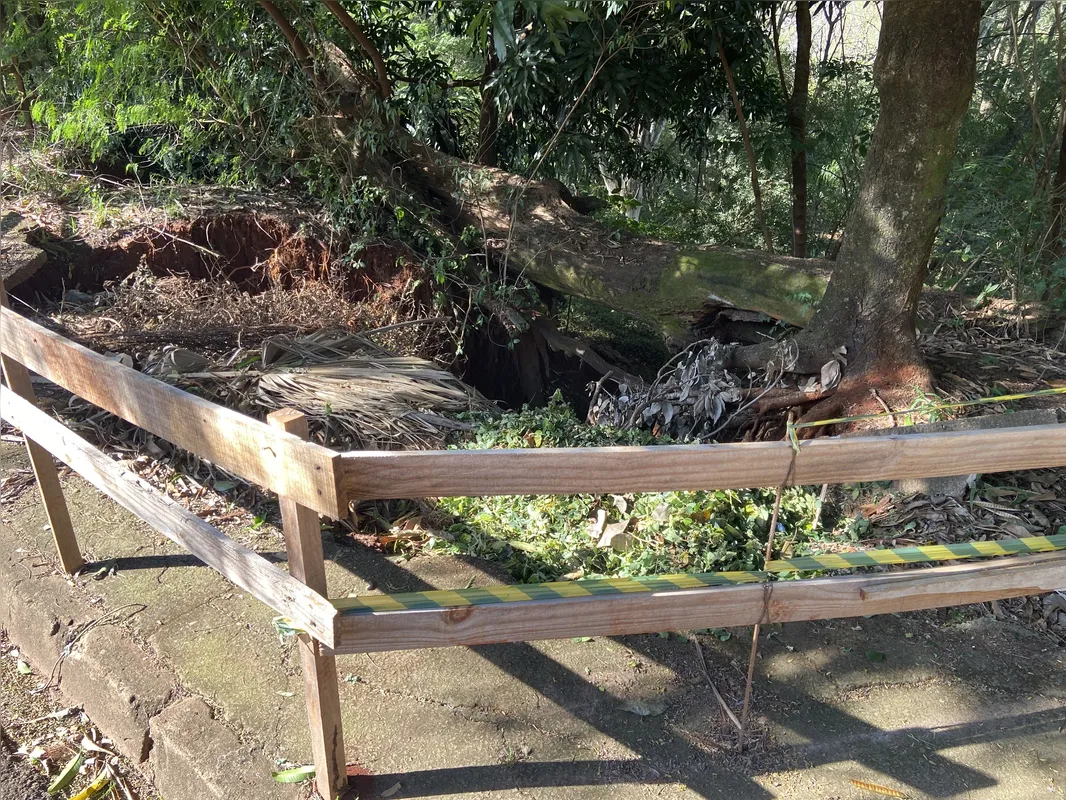 Uma cerca de madeira foi utilizada para alertar sobre o problema na Raja Gabaglia