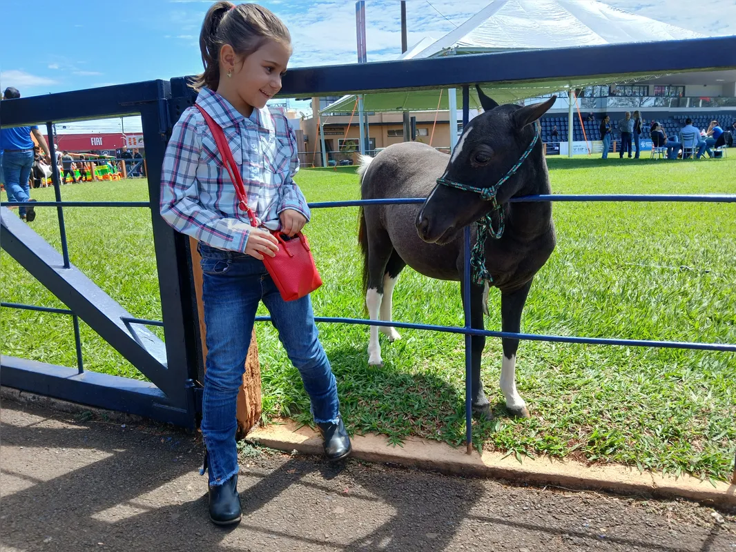 A pequena cowgirl Sarah de Paula, 6 anos, se vestiu a caráter para ver os cavalos, sua paixão
