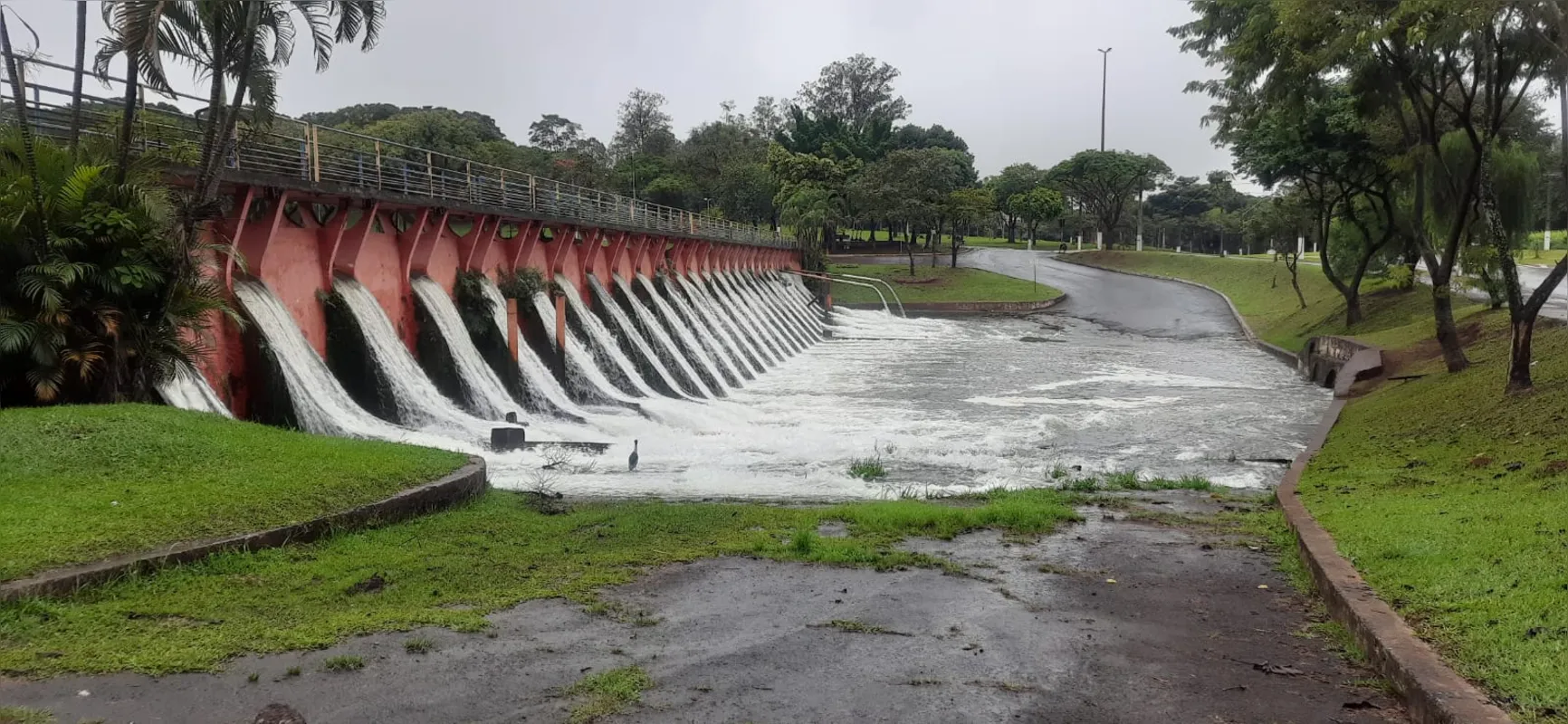 Imagem ilustrativa da imagem Depois da chuva, nova onda de frio atinge o Norte do Paraná