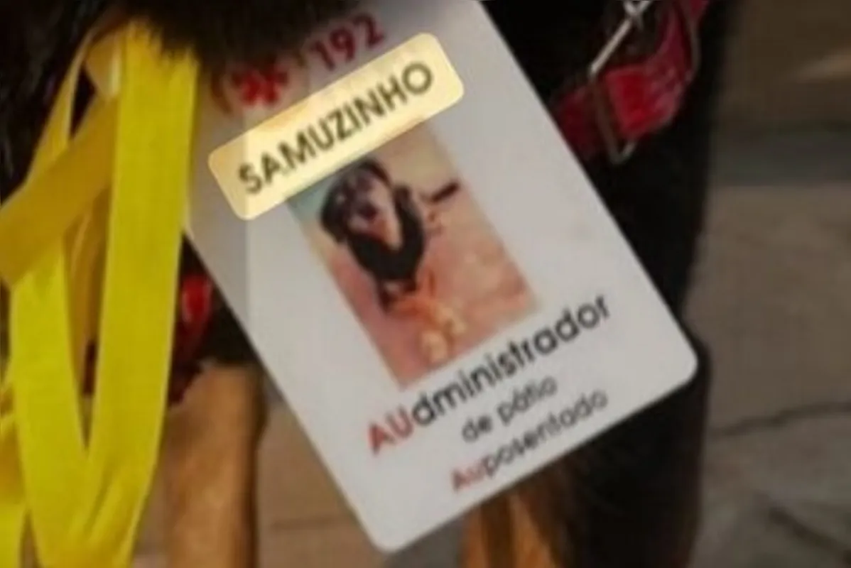 Imagem ilustrativa da imagem Despedida de Samuzinho: conheça o mascote que trouxe alegria ao SAMU em Londrina