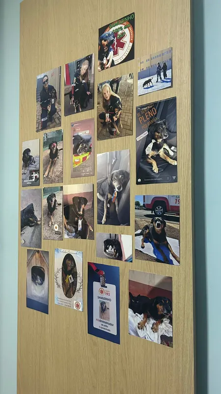 Mural homenageando o mascote Samuzinho