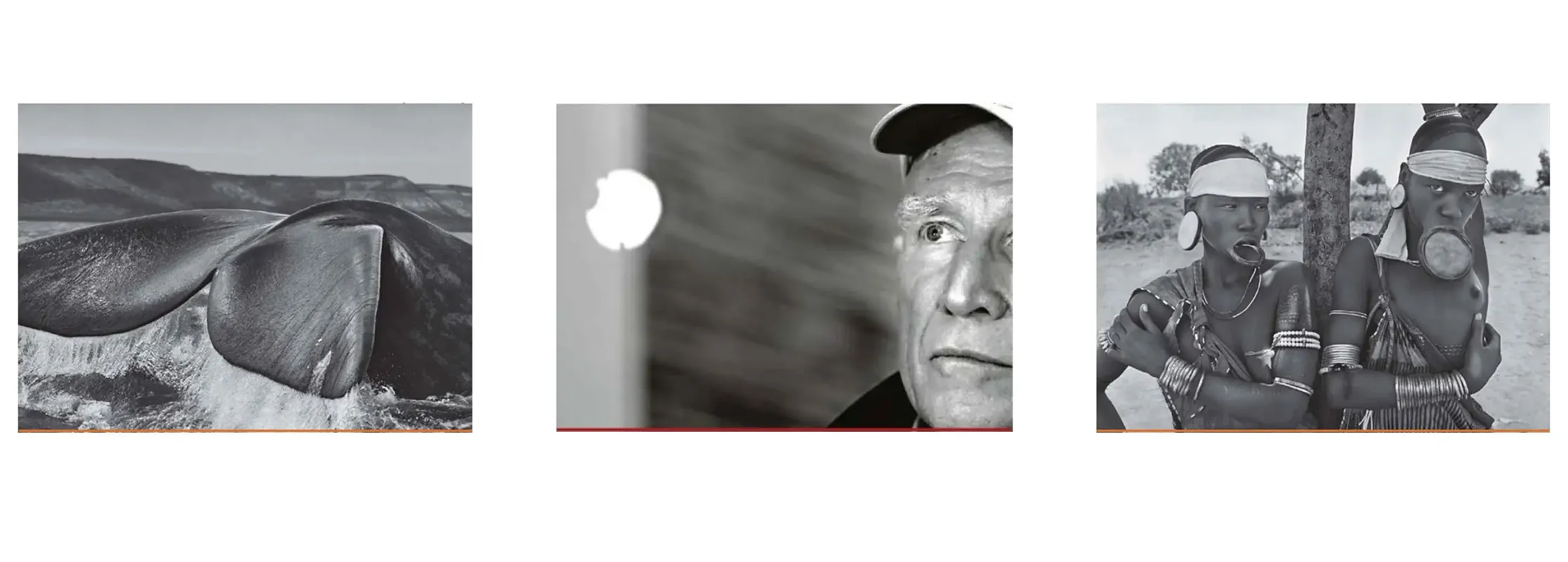 Montagem com fotos de Sebastião Salgado (esquerda e direita) e Theo Marques (ao meio)