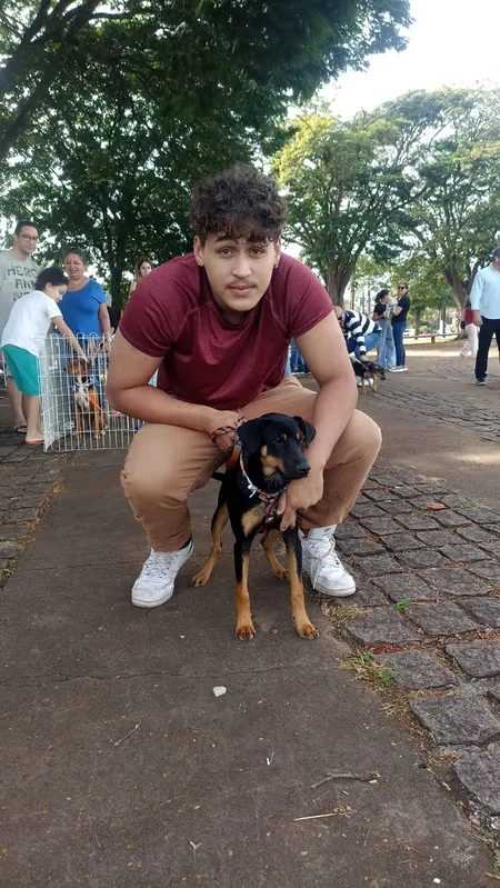 Na feira, Lucas adotou o cãozinho Chico: uma casa nova