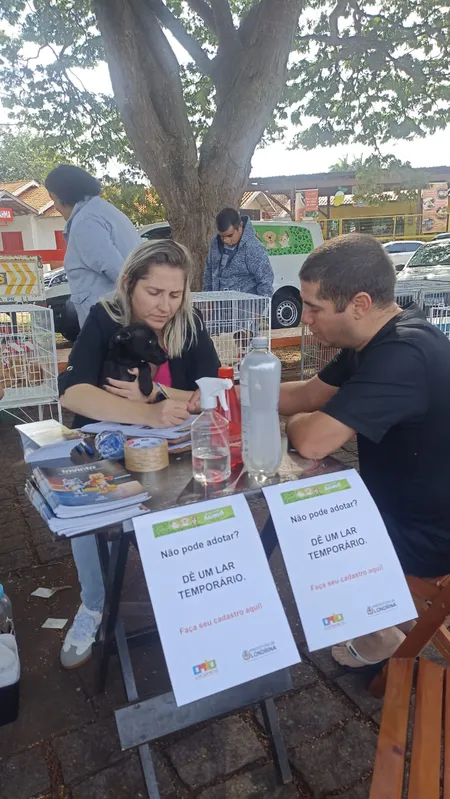 Quem não pode adotar definitivamente, tem opção de oferecer um lar provisório para os animais