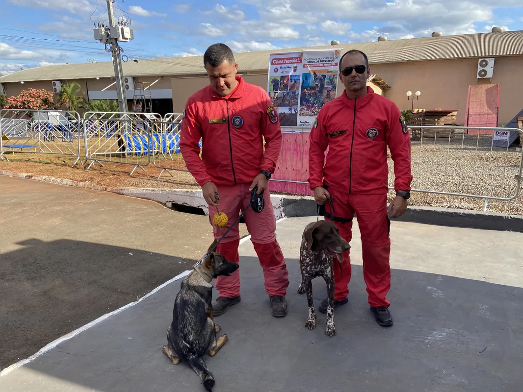 Imagem ilustrativa da imagem Expo Pet apresenta de cães e gatos a animais exóticos