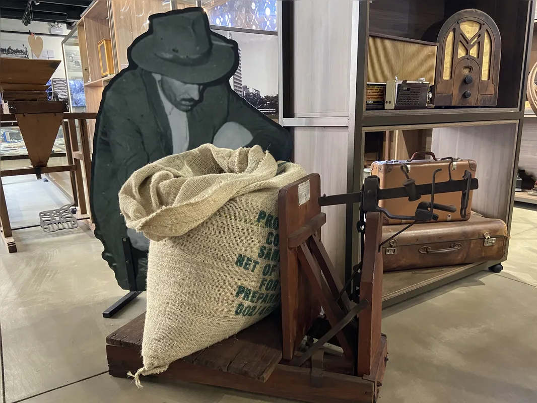 Imagem ilustrativa da imagem Há 50 anos, não sobrou um único pé de café em Londrina