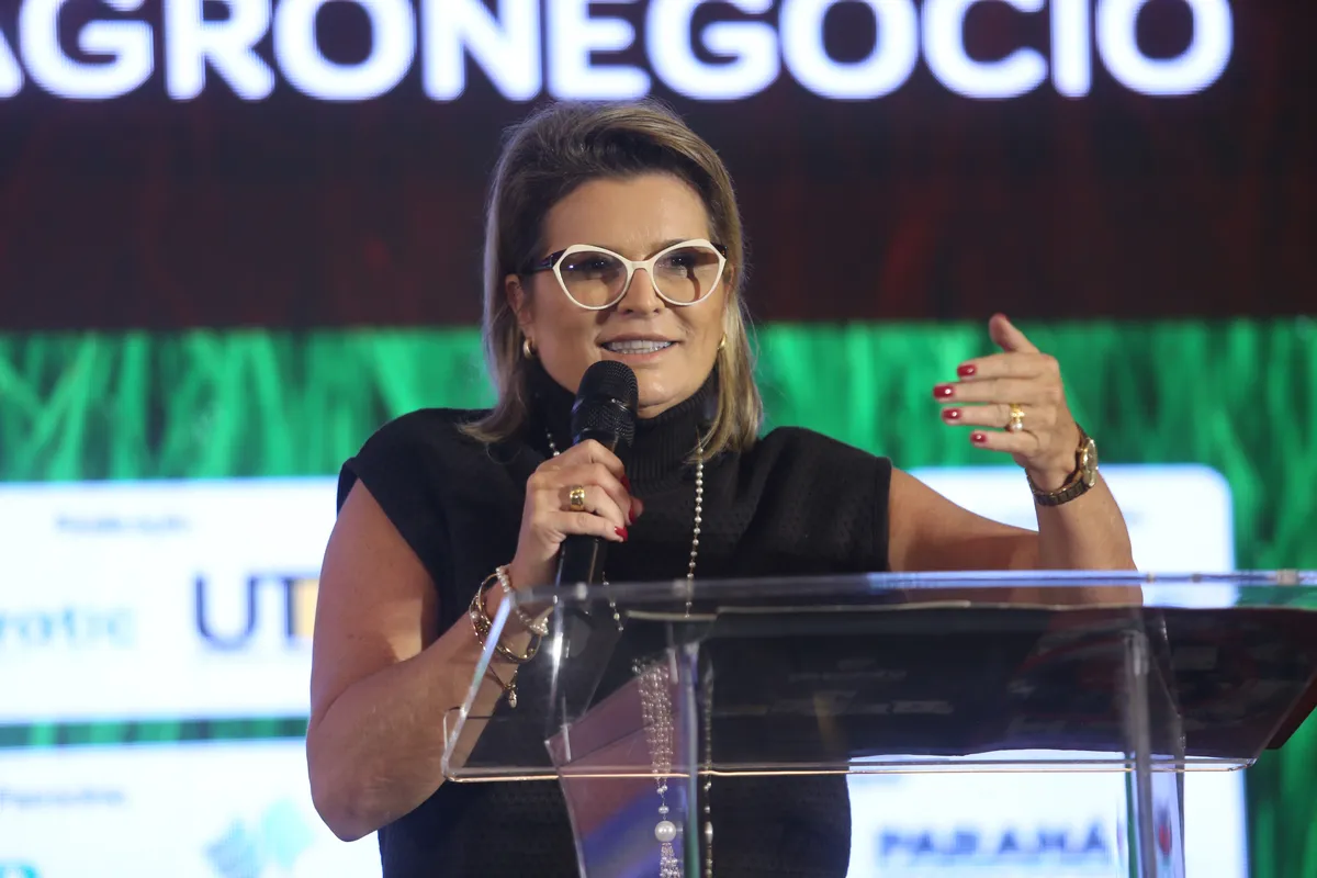 Cristiane Cordeiro, responsável pelas relações institucionais da Fundação Araucária