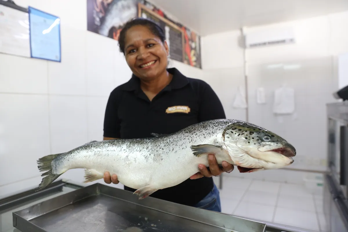 Imagem ilustrativa da imagem Início da quaresma movimenta mercado de pescados