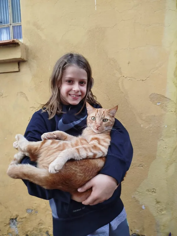 Dom Pellegrini Oliveira também lança livro com histórias de seu gato Leão