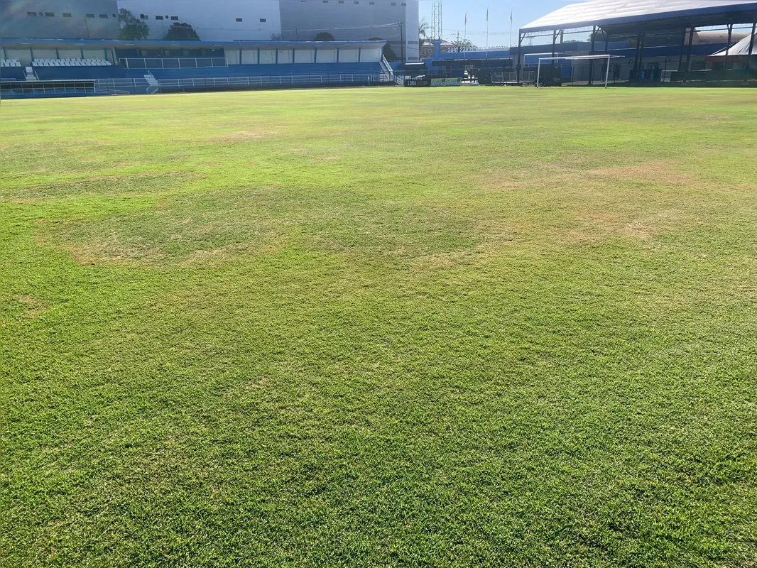 Imagem ilustrativa da imagem Londrina entende que gramado do VGD já teve melhora de 80%