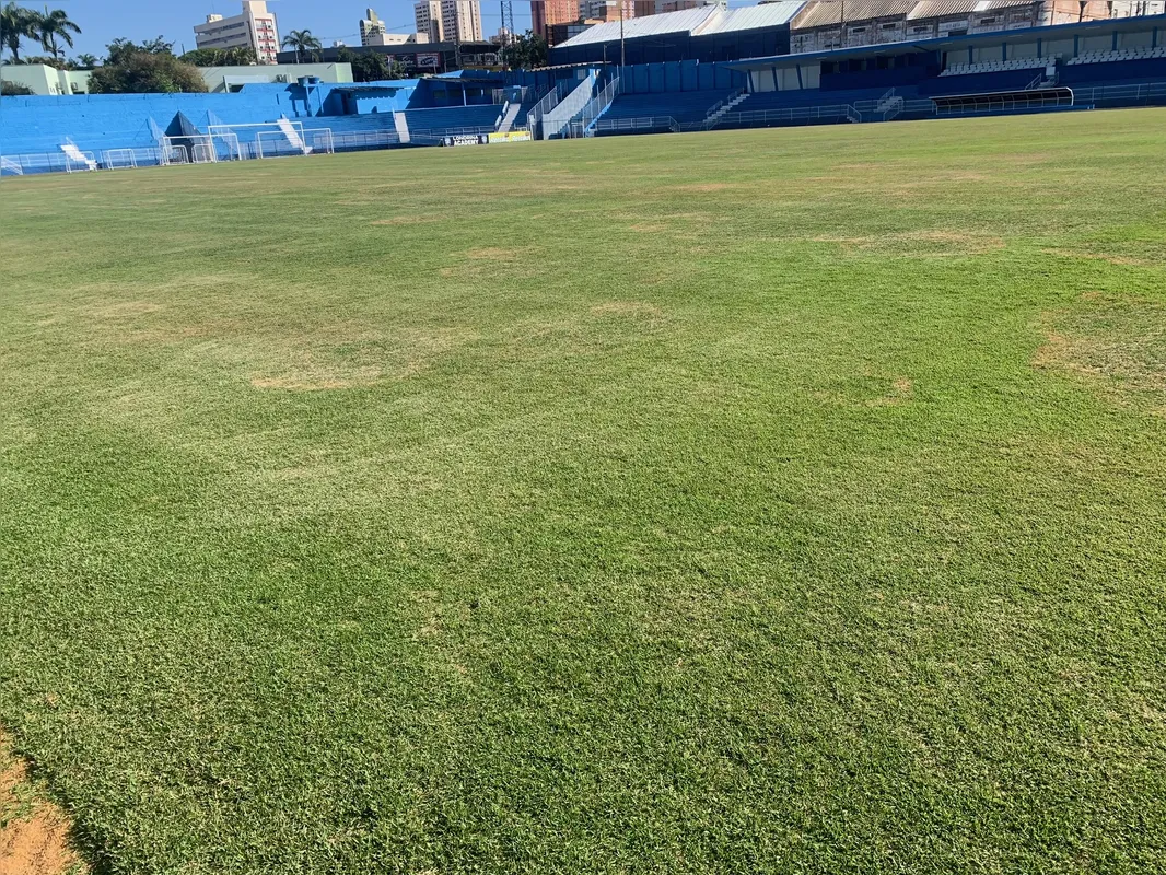 Imagem ilustrativa da imagem Londrina entende que gramado do VGD já teve melhora de 80%