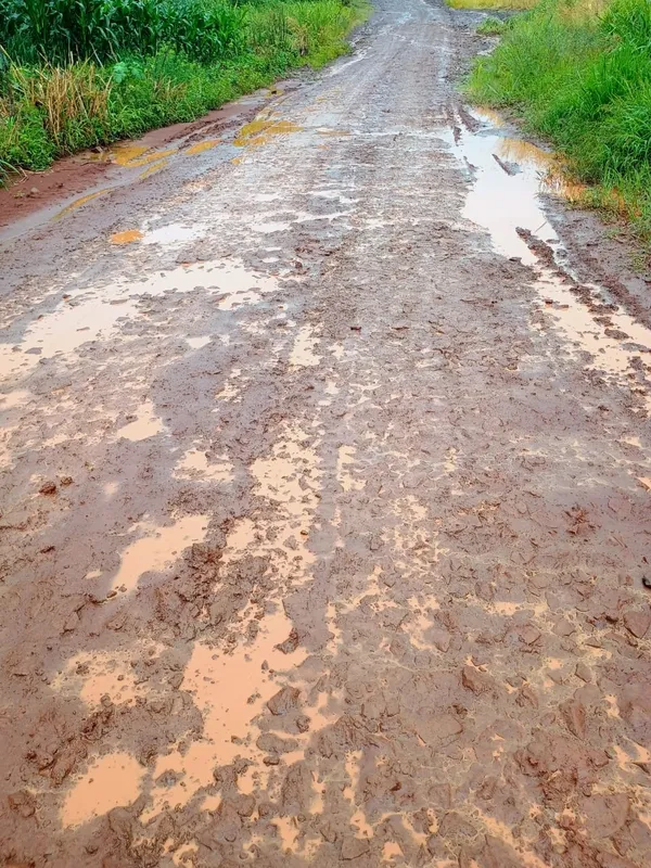 Imagem ilustrativa da imagem Moradores de assentamento cobram melhorias em estradas rurais