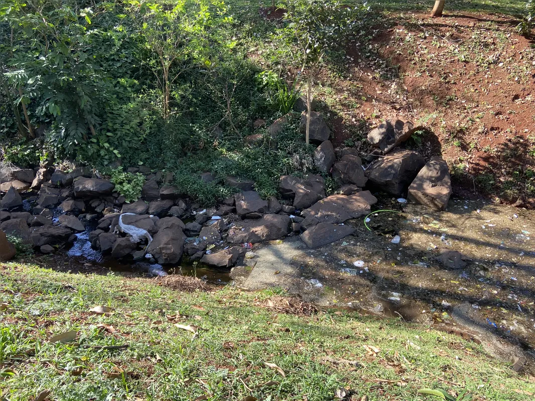 Imagem ilustrativa da imagem Nascente do Lago Cabrinha é usada como depósito de lixo