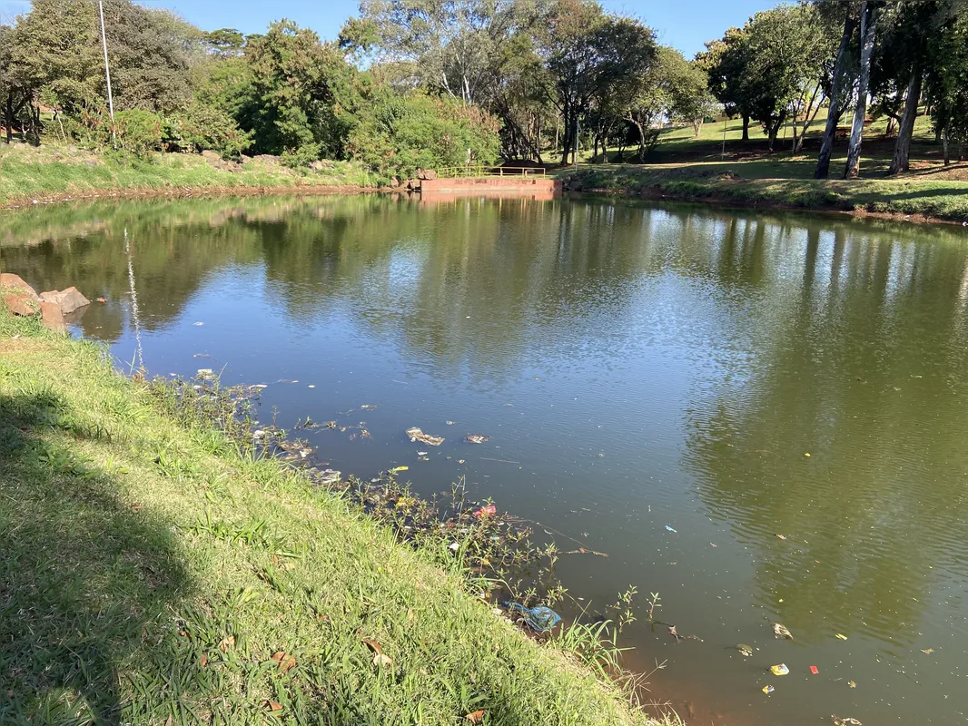 Imagem ilustrativa da imagem Nascente do Lago Cabrinha é usada como depósito de lixo