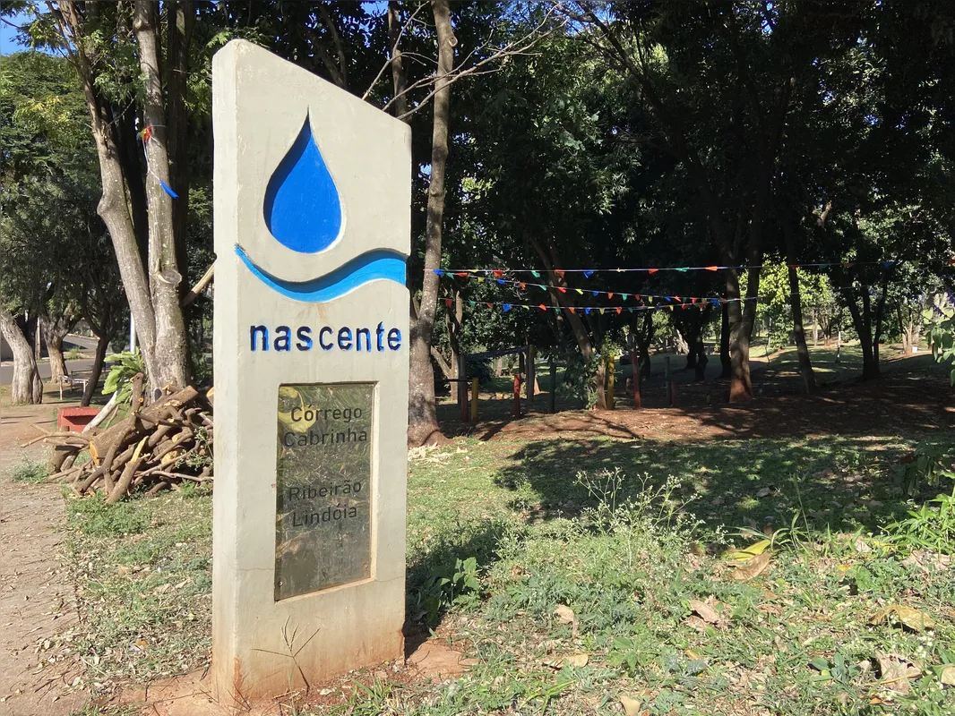 Imagem ilustrativa da imagem Nascente do Lago Cabrinha é usada como depósito de lixo