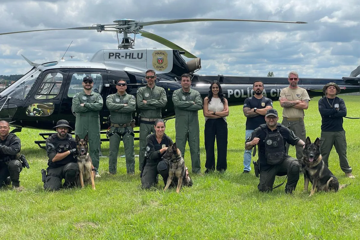 Imagem ilustrativa da imagem Polícia Civil treina cães farejadores em aeronaves