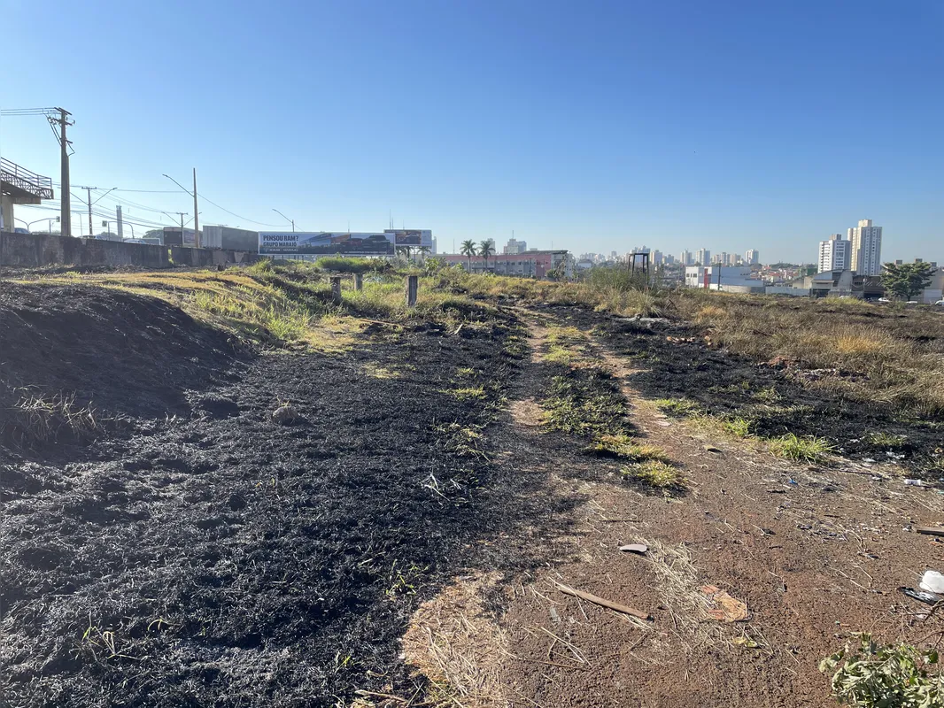 Imagem ilustrativa da imagem Queimadas na região de Londrina preocupam moradores