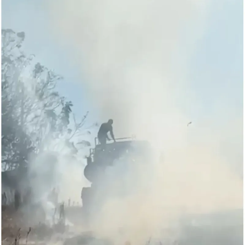 Imagem ilustrativa da imagem Queimadas na região de Londrina preocupam moradores