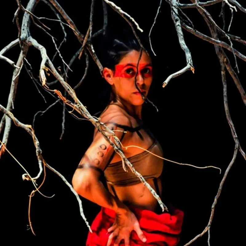 A Companhia Ninho Cultural, de Palmas-TO, se apresenta no dia 8 de maio