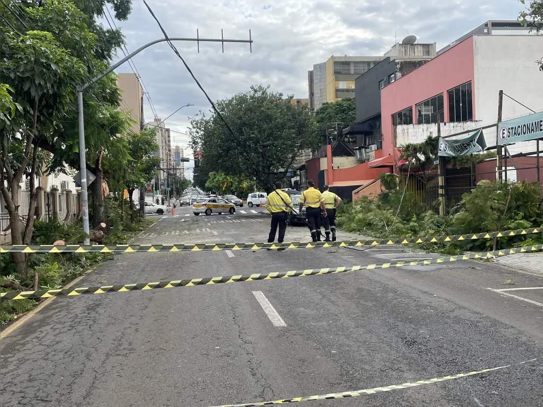 Imagem ilustrativa da imagem Temporal derruba árvores e prejudica abastecimento em Londrina