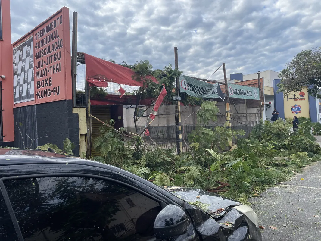 Imagem ilustrativa da imagem Temporal derruba árvores e prejudica abastecimento em Londrina