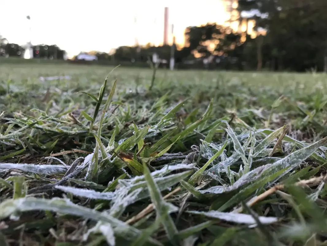 Imagem ilustrativa da imagem Último dia de outono em Londrina será com sol e mínima de 14ºC
