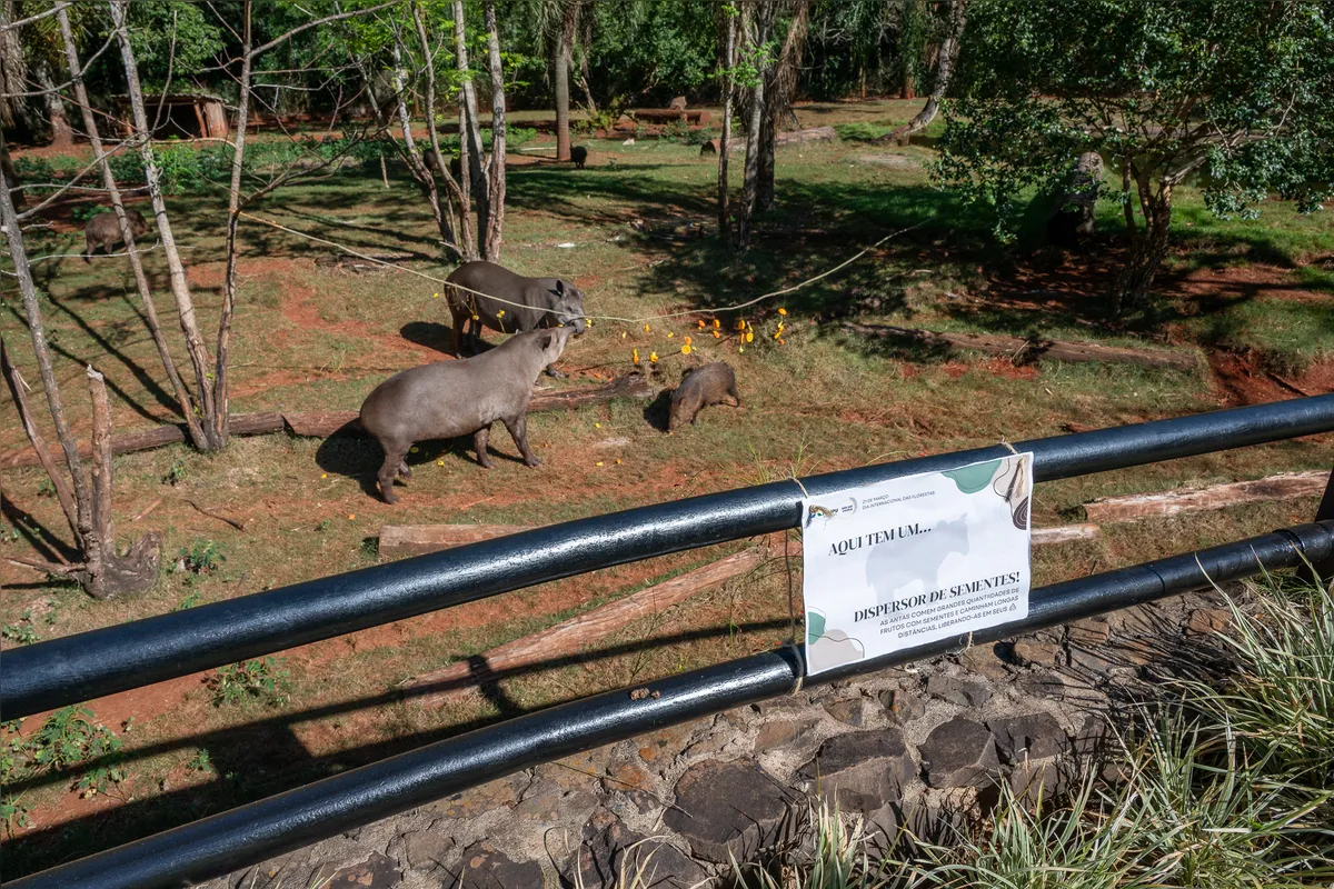 Imagem ilustrativa da imagem Zoo do Refúgio Biológico Bela Vista integrar rede da Azab