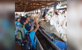 Alunos do município fazem estudo de campo na ExpoLondrina