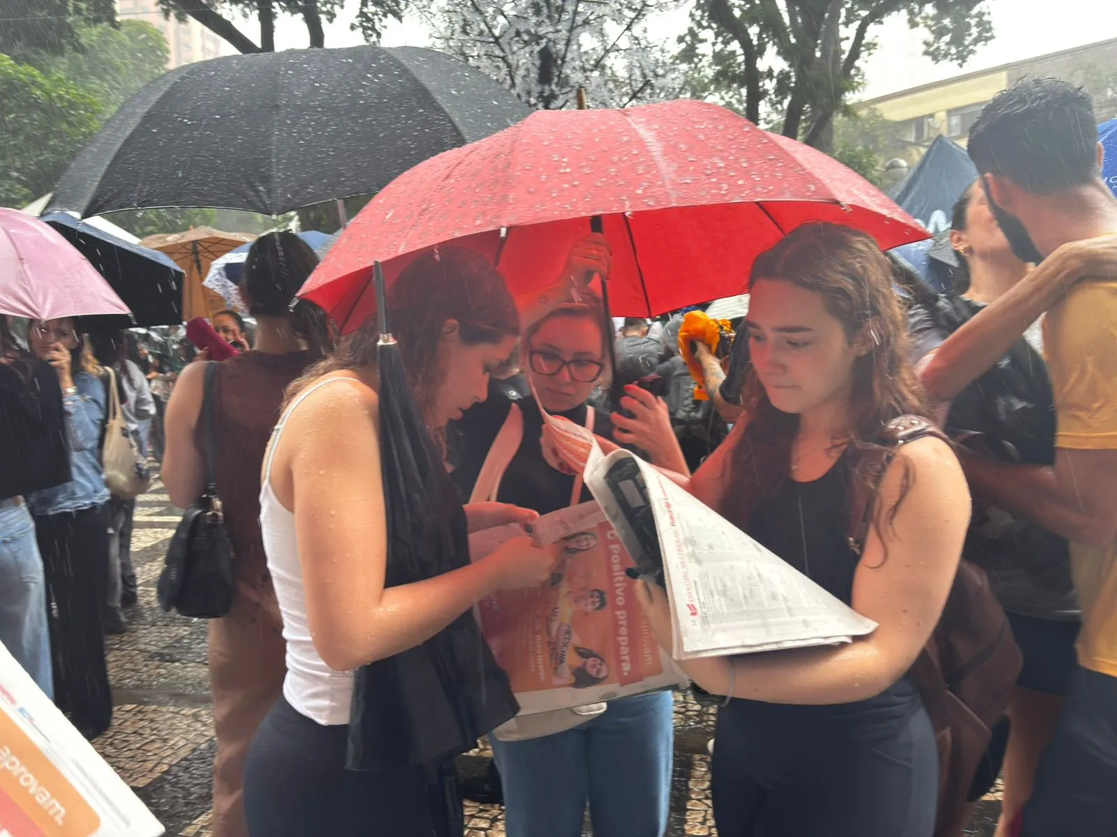 Imagem ilustrativa da imagem Confira fotos da festa dos aprovados no Vestibular da UEL