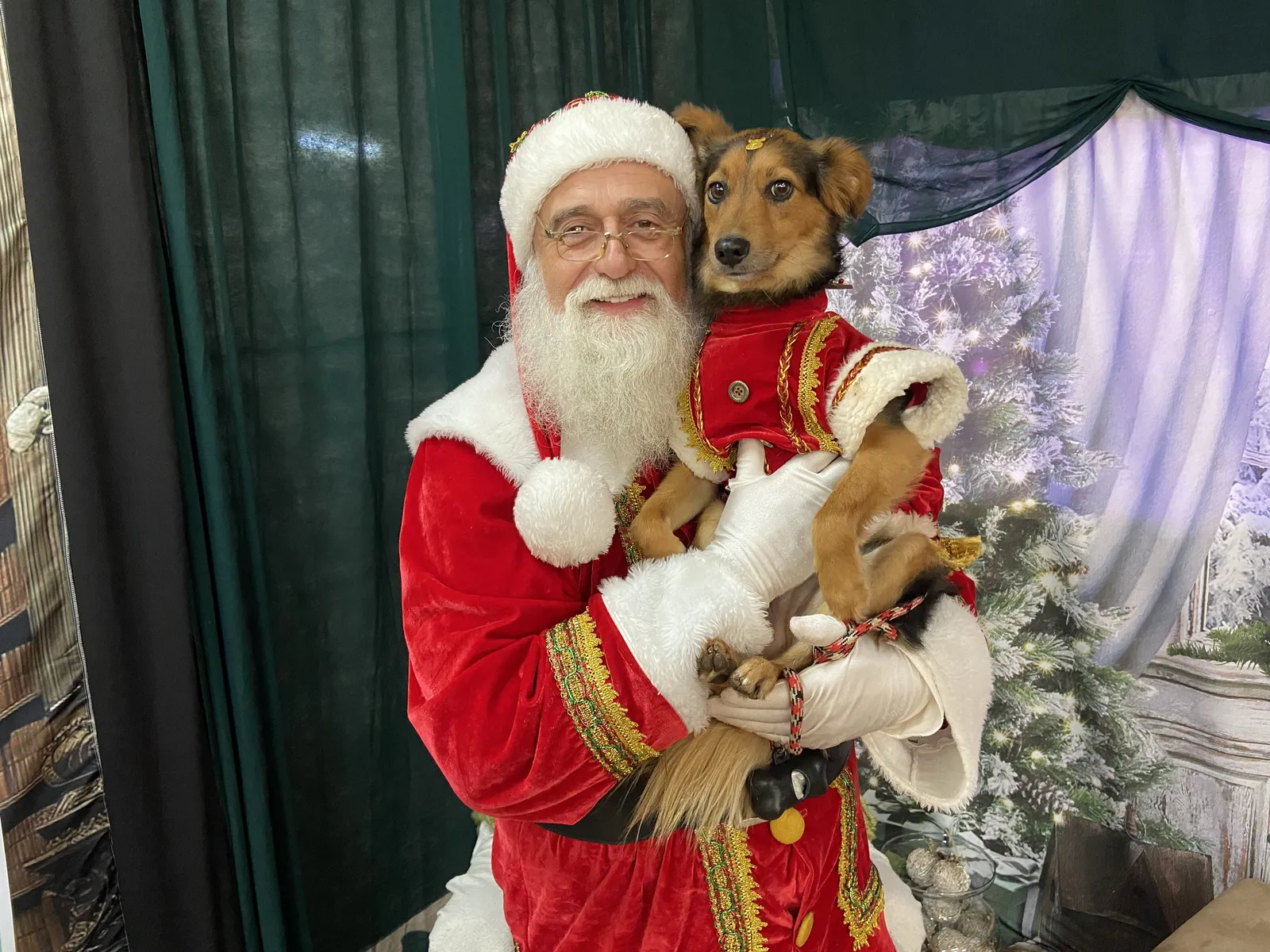 Papai Noel e sua rena, Blitzen