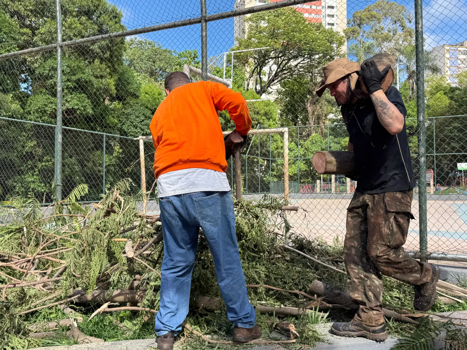 Equipe cortando árvores para promover o recolhimento neste domingo, no centro