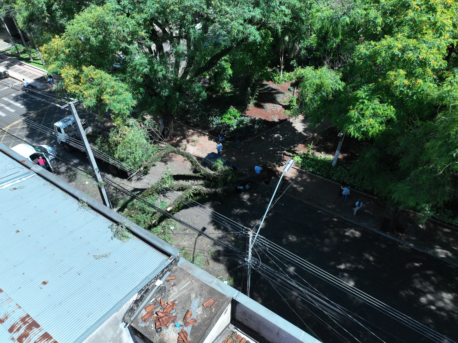 Imagem ilustrativa da imagem Londrina decreta situação de emergência em razão do temporal