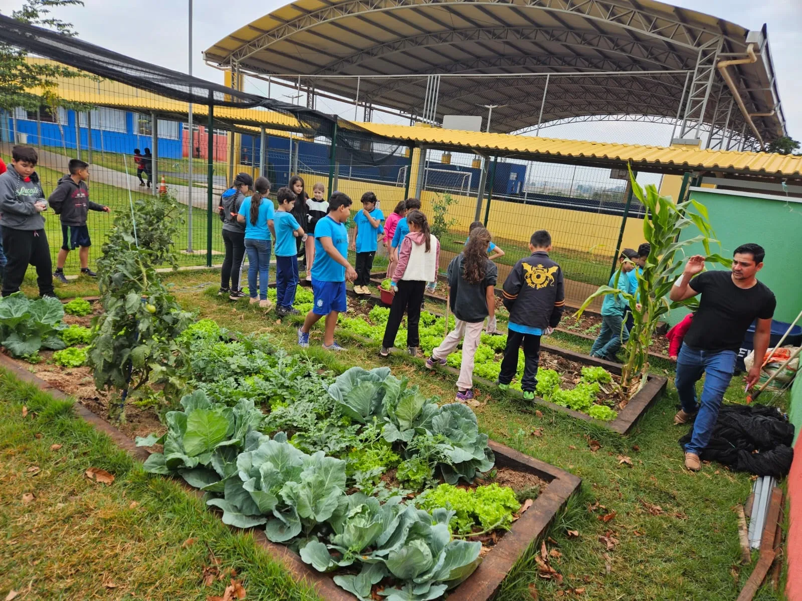 Na Escola Municipal do Campo Trabalho e Saber, no Distrito de Lerroville, tem práticas ligadas a preservação do meio ambiente durante o ano todo