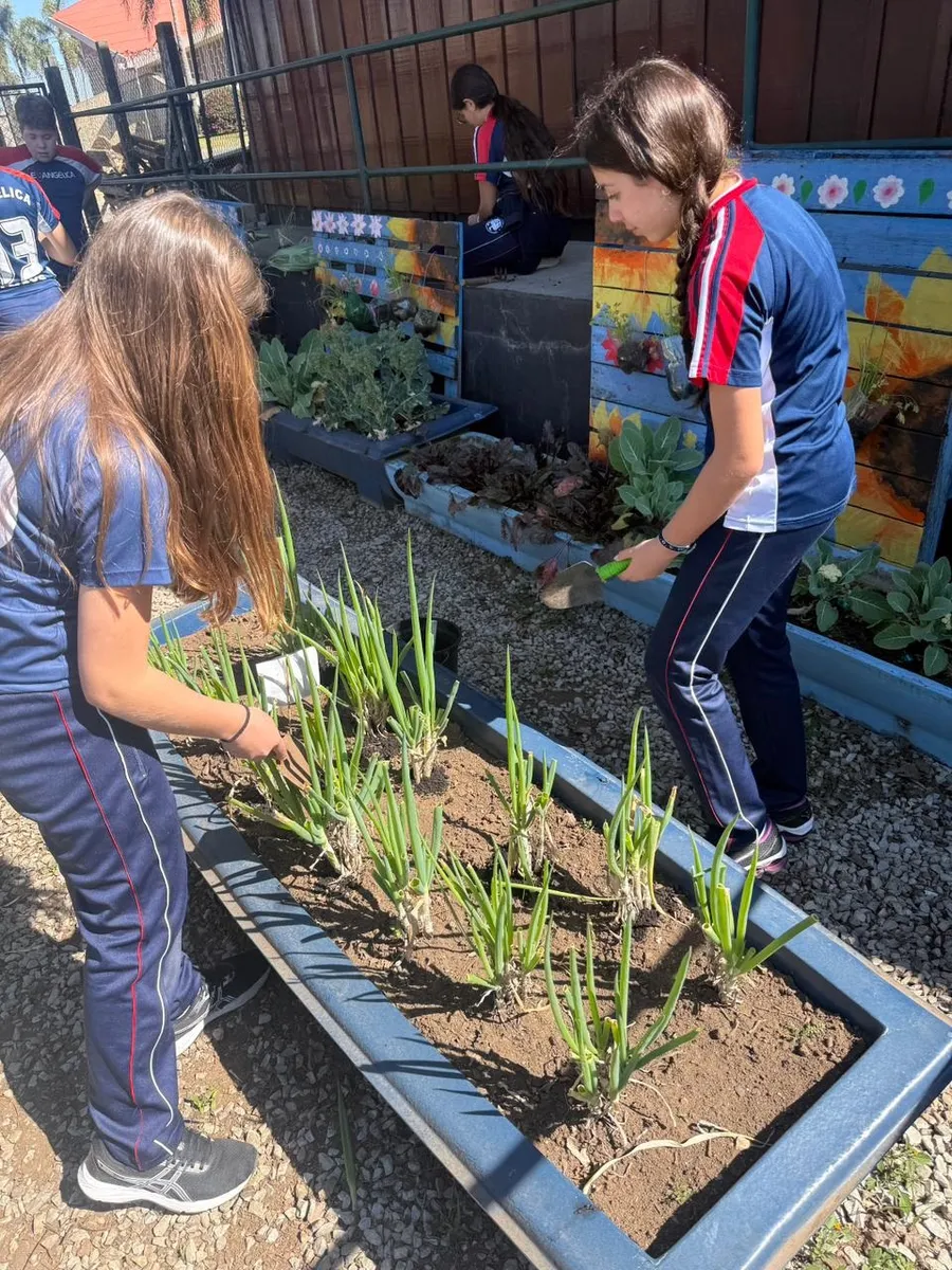Horta criada por alunos da Escola Evangélica da Comunidade de Castrolanda, em Castro
