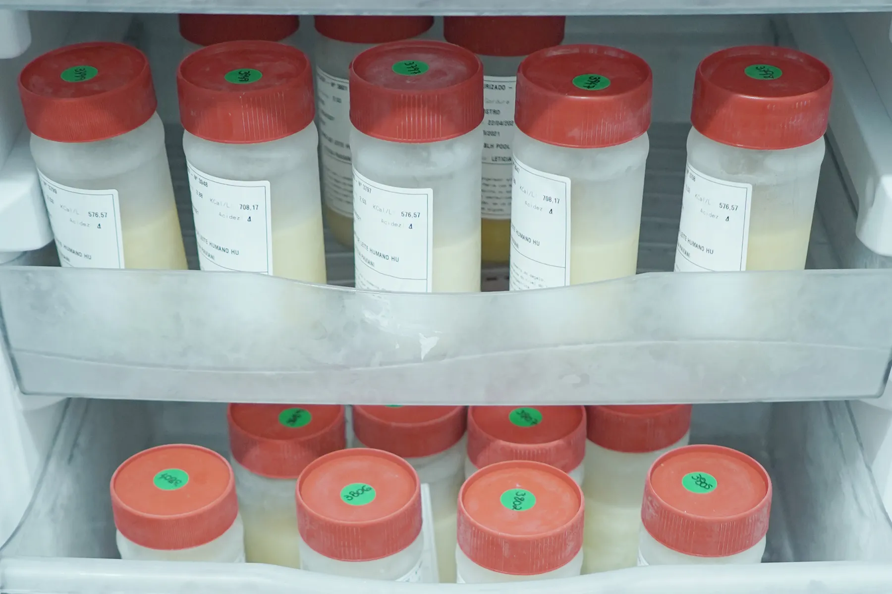 Imagem ilustrativa da imagem Paraná registra aumento na coleta de leite humano